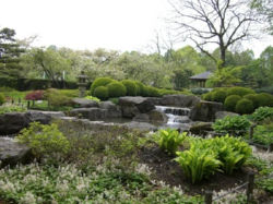 日本庭園の滝の石組