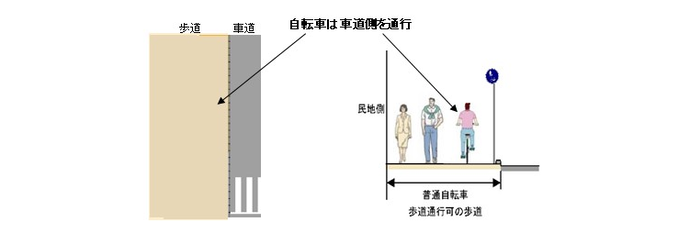 平面図