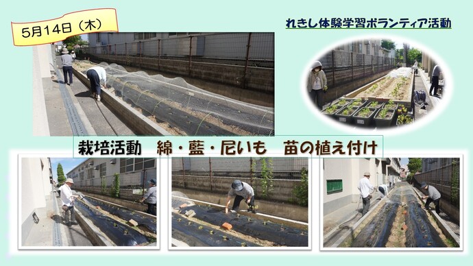 2026年5月14日の活動写真