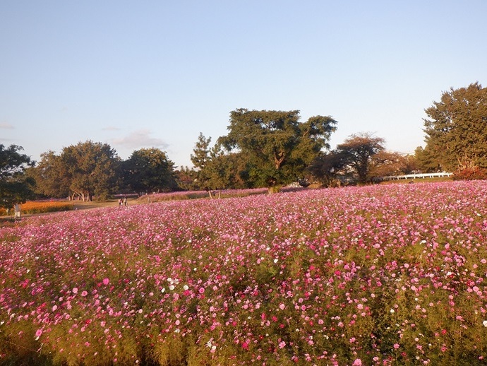 10月31日、現況写真