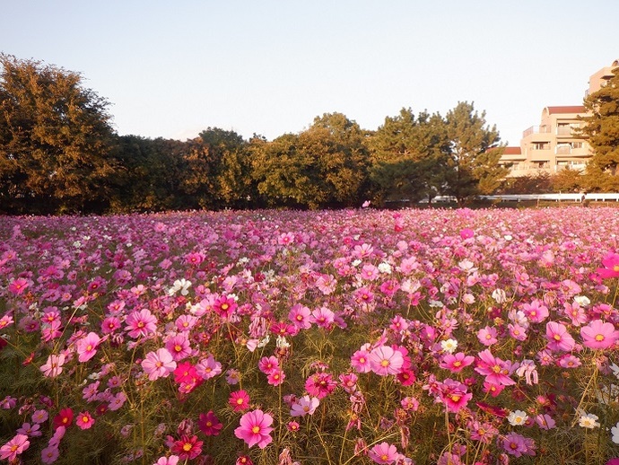 10月31日、現況写真