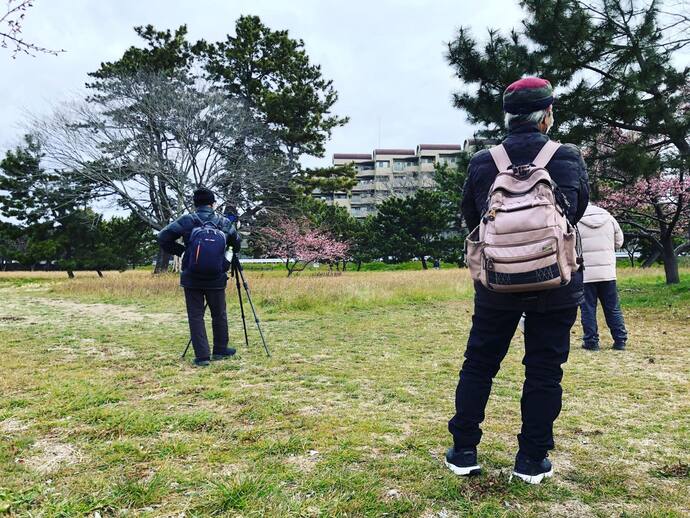 武庫川河川敷でメジロを探すアマチュア写真家のみなさん