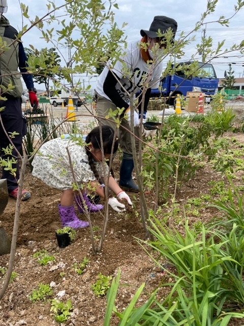 小学生が苗を植えるようす