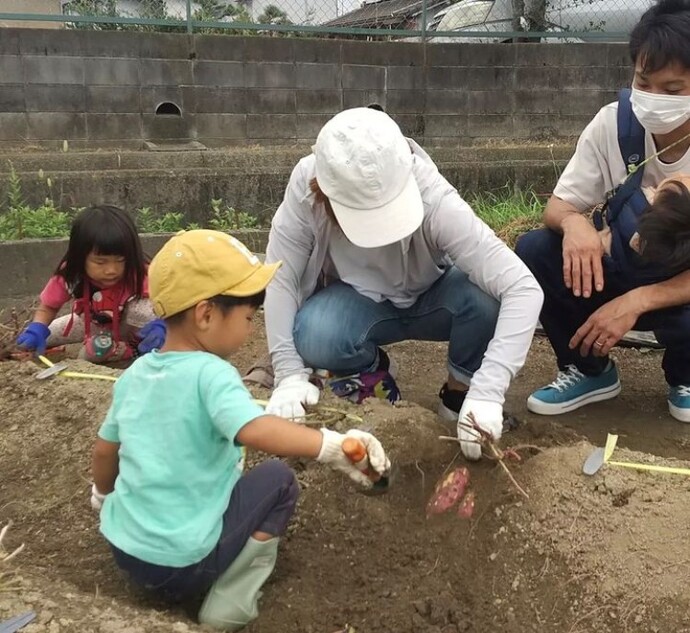 ちびっ子おいもほりのようす