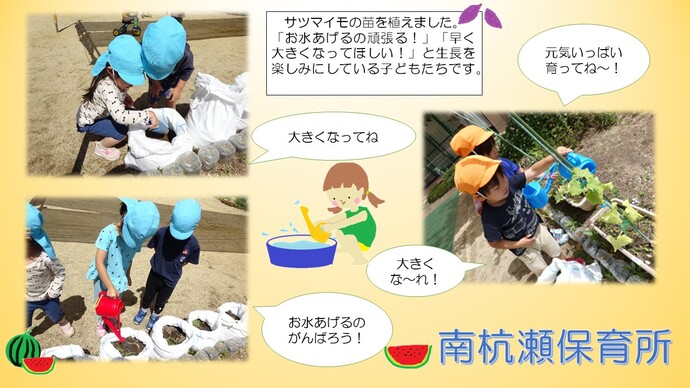 ～野菜の苗を植えました～