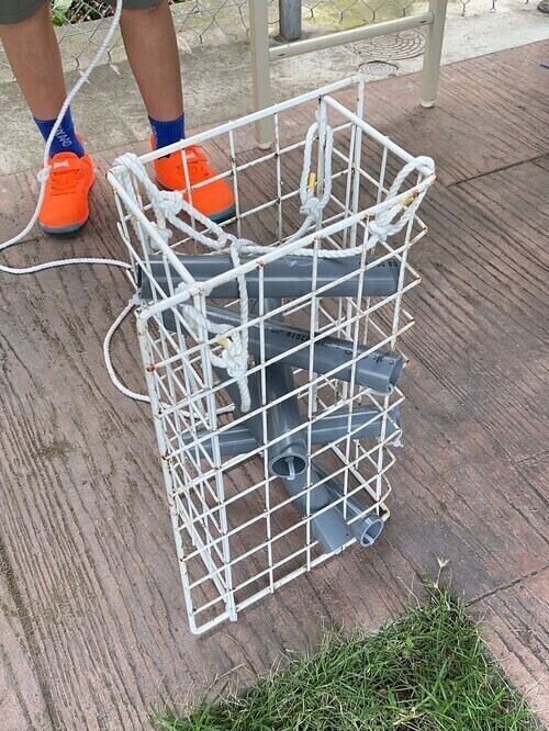 子どもたちが作成した生き物のすみかの写真