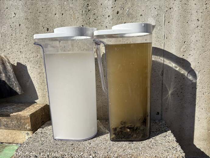 水質浄化の実験の様子