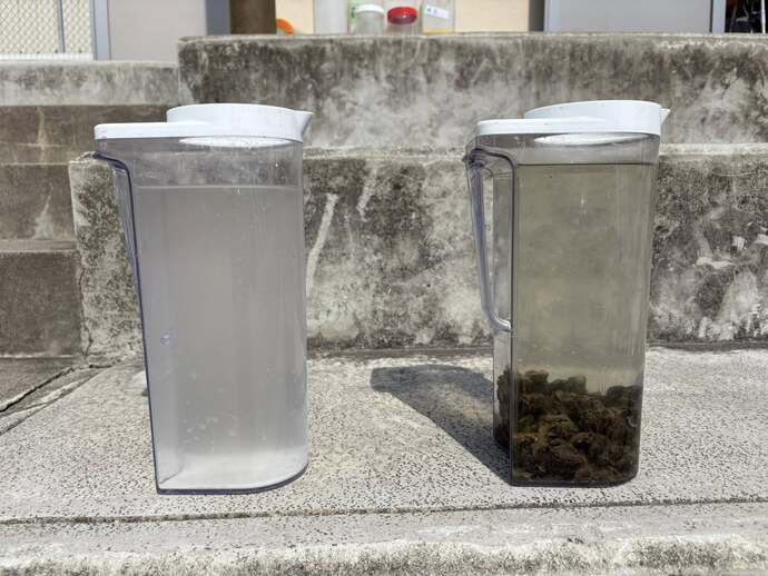 水質浄化の実験の様子