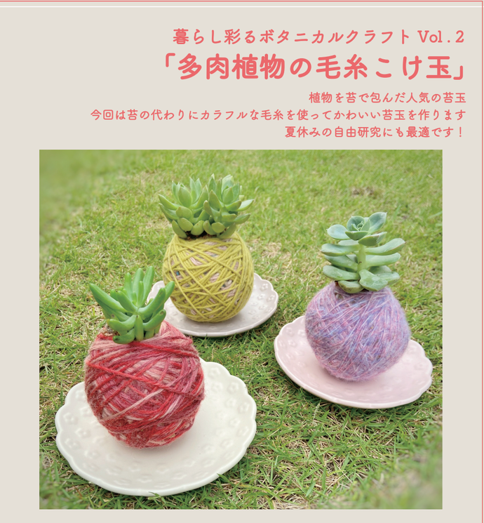 多肉植物の毛糸苔玉のイメージ画像