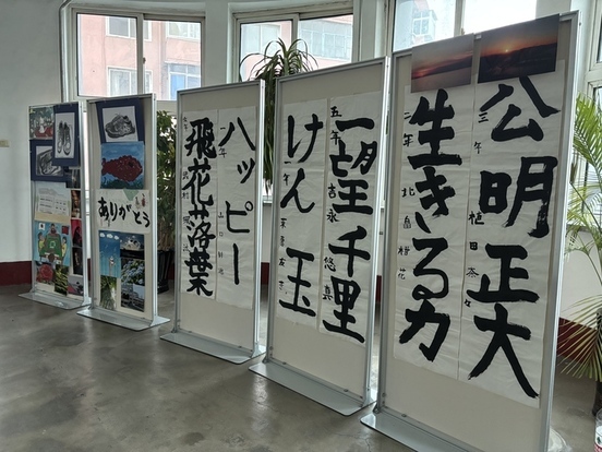 展示の様子