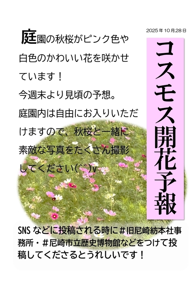 10月28日庭園の様子