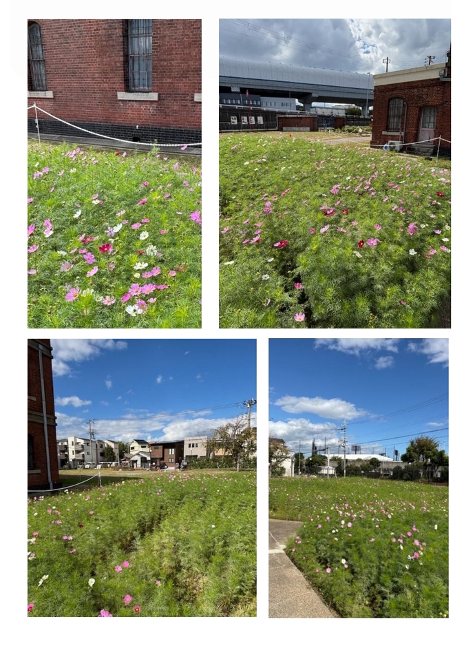 2025年10月28日の庭園の写真