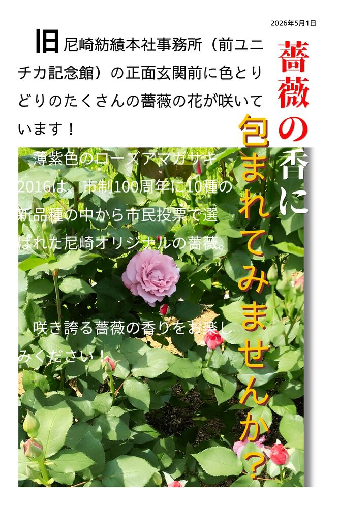 5月1日玄関前の花壇
