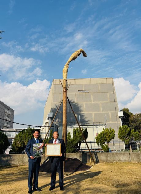 071202サバルヤシ