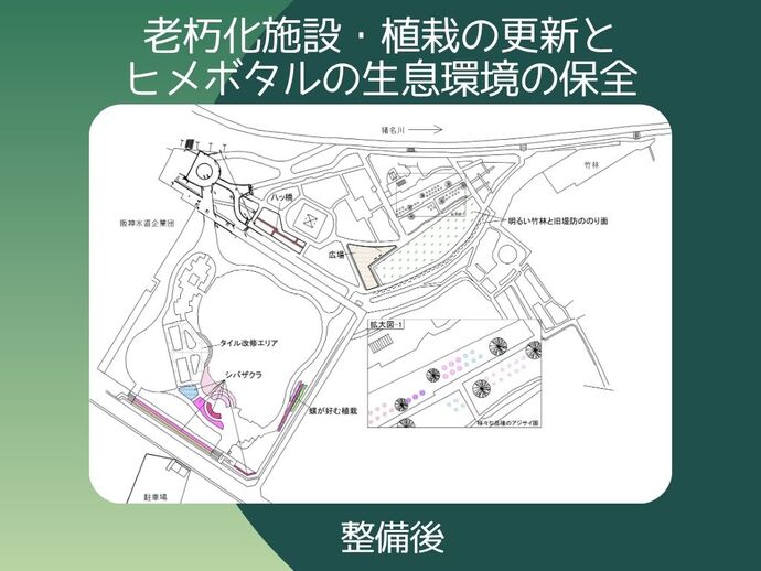農業公園の駐車場、農業体験施設、管理棟以外の整備計画図面