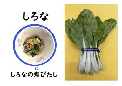 あまやさいのしろなの写真