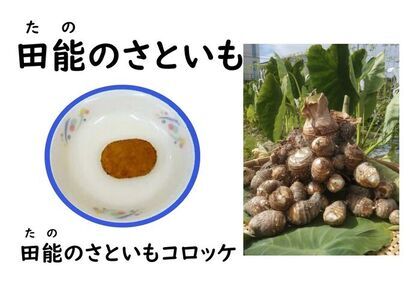 田能のさといもの写真