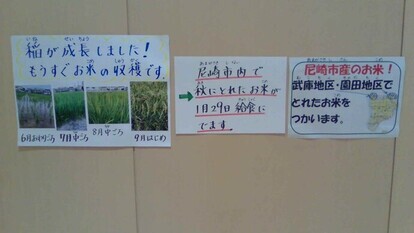 給食展示資料の写真