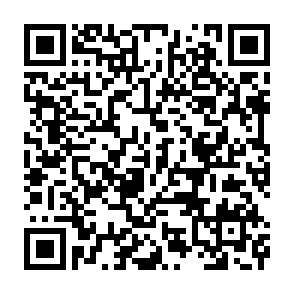 申込フォームQRコード