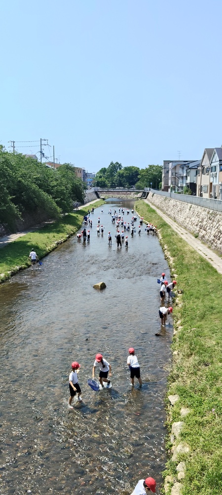 高松橋から庄下川下流をみた景色