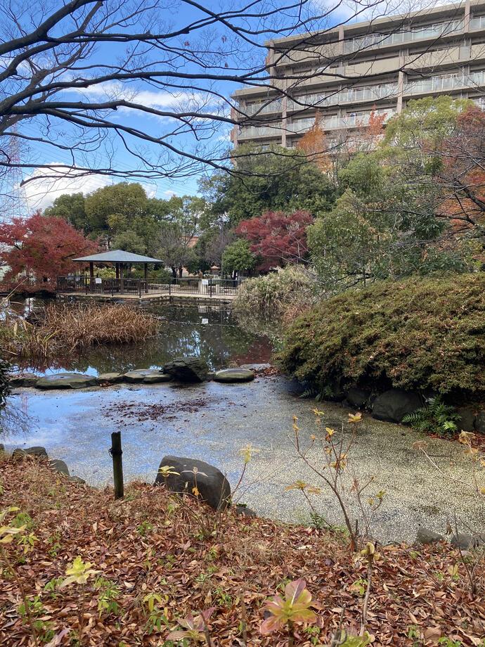 元浜緑地