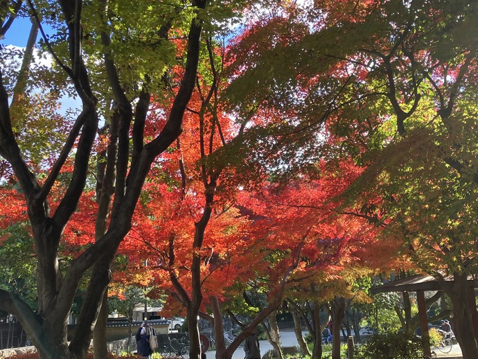 近松公園
