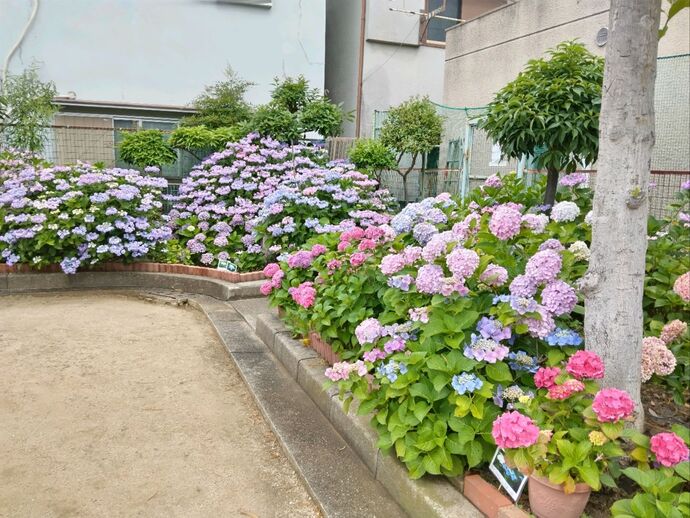 生島西社会福祉連絡協議会